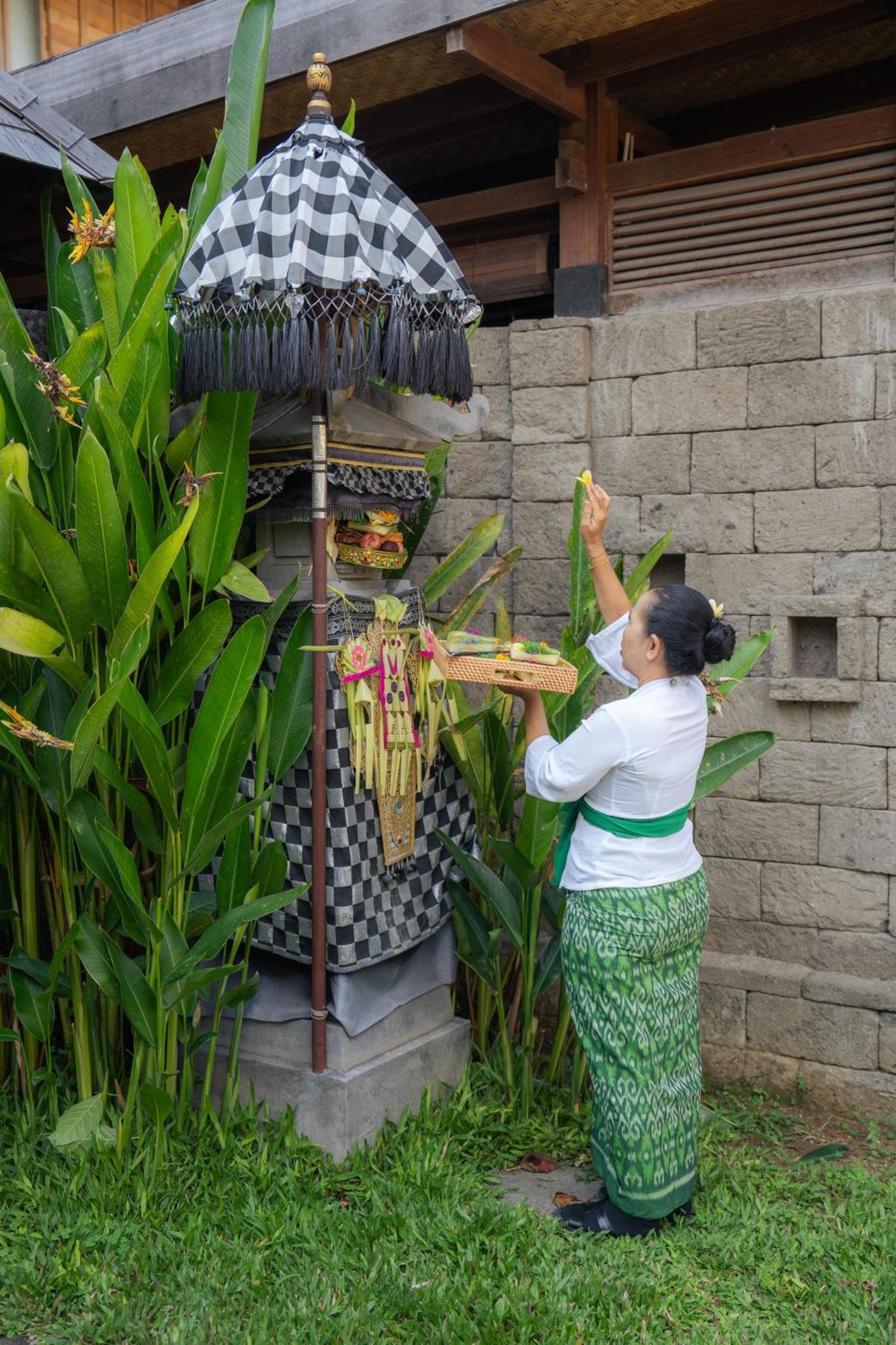 Kayu Village 캉구 외부 사진