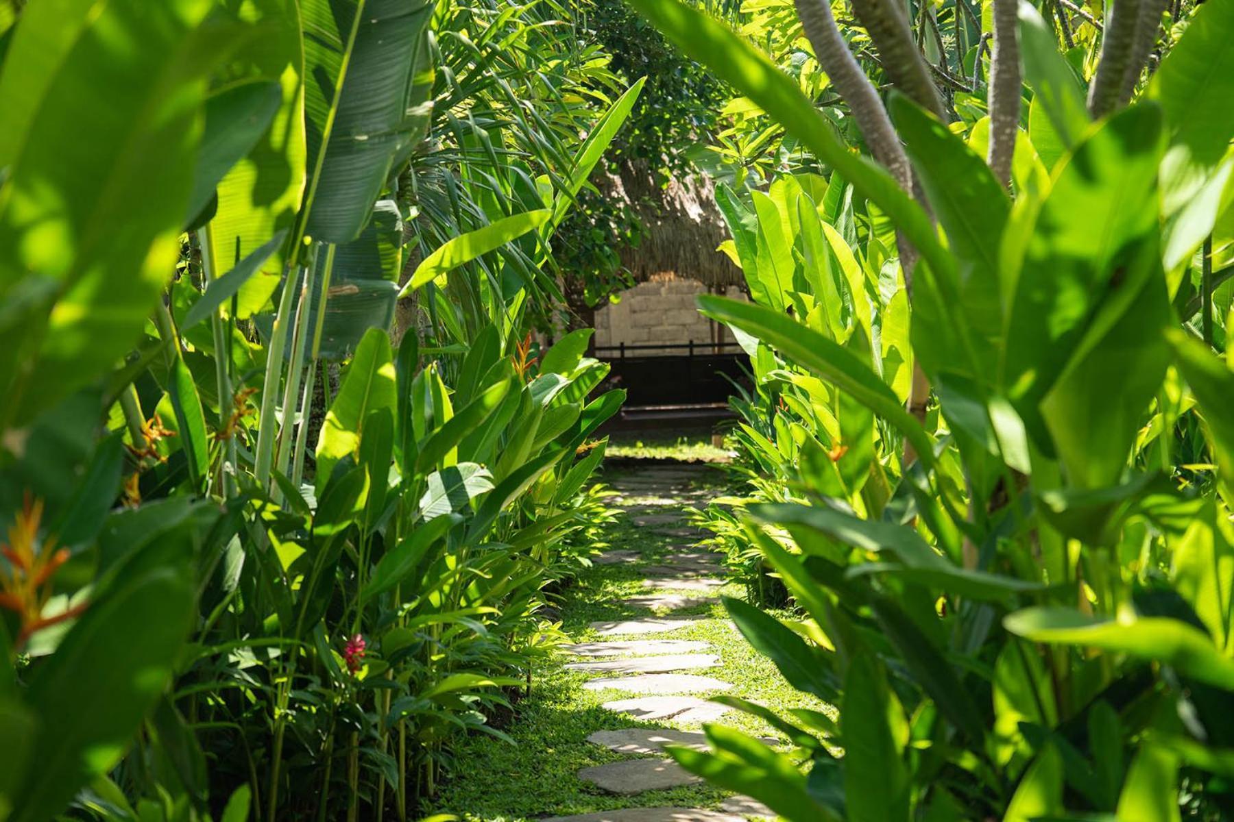 Kayu Village 캉구 외부 사진